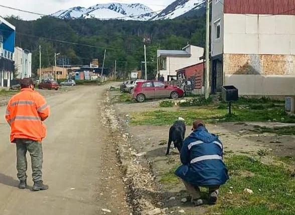 IMG_20251112_084831_404