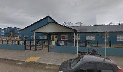 Foto-de-jardin-n-20-lucerito-de-fuego-ushuaia