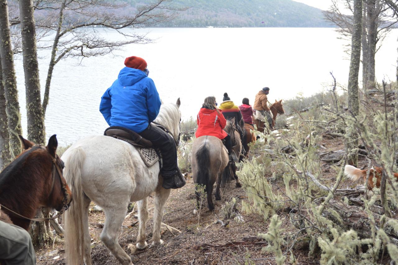 Caballo paseo