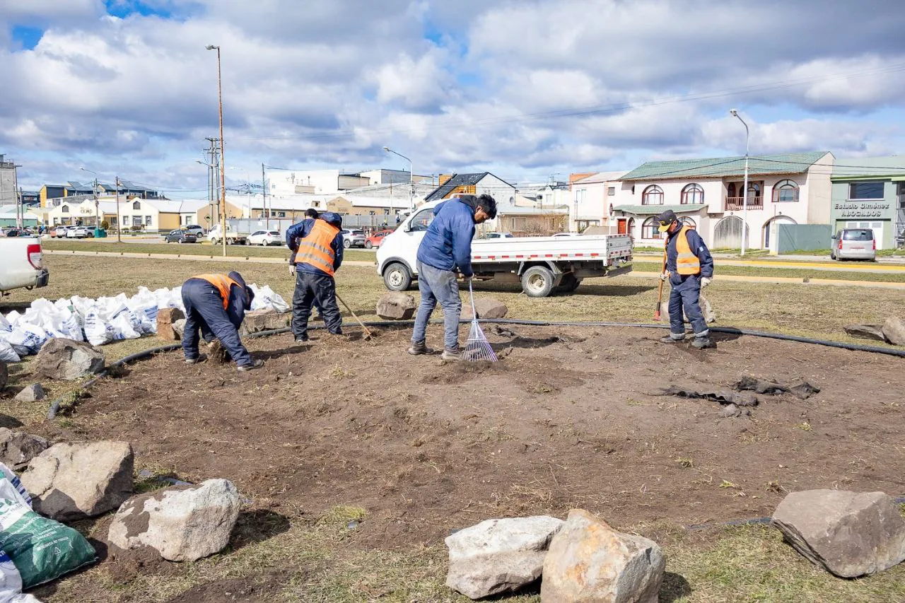 IMG_20241014_124332_919