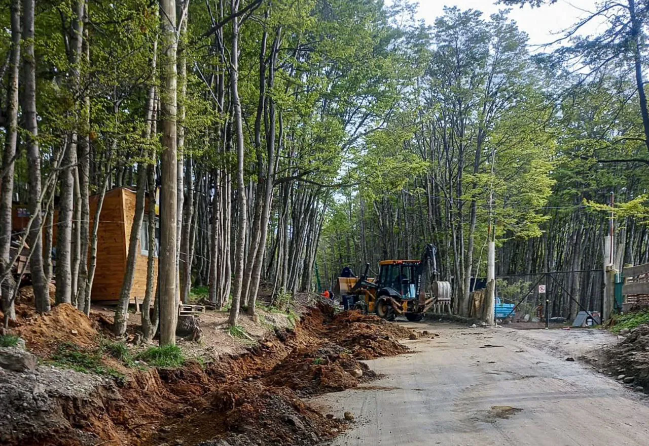 IMG_20241030_144117_446