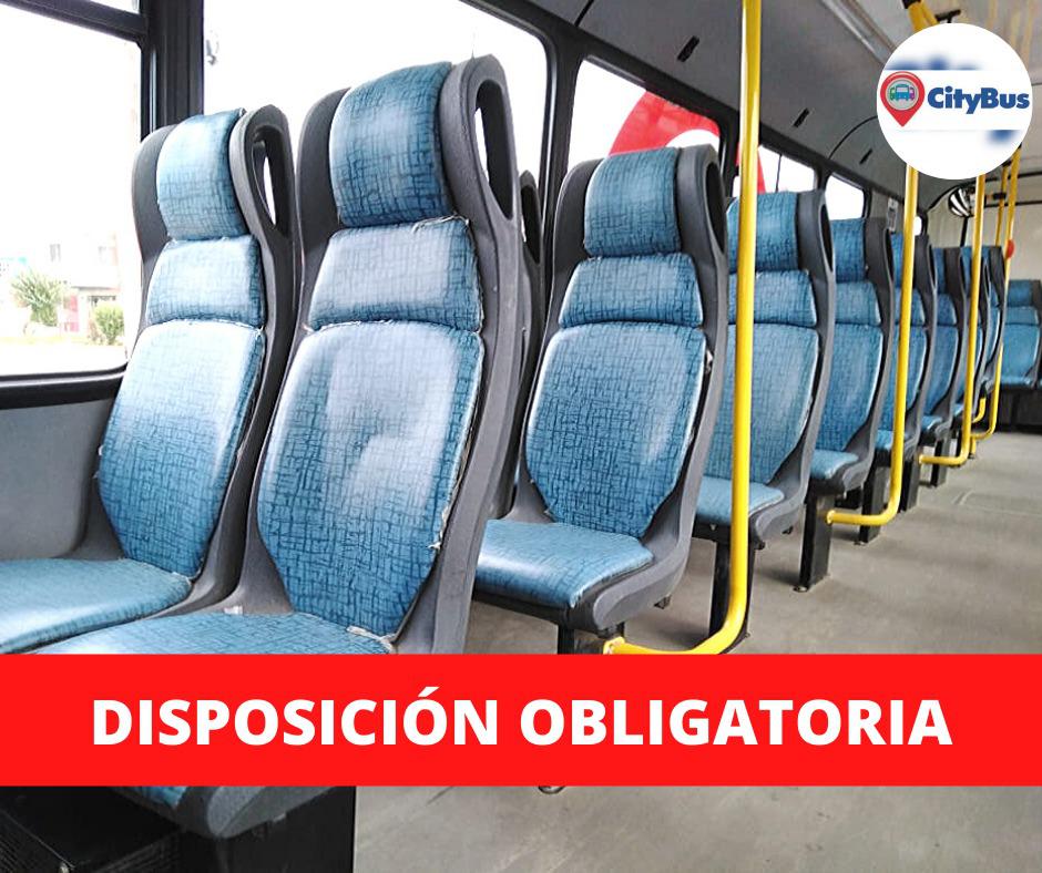 CITYBUS 1