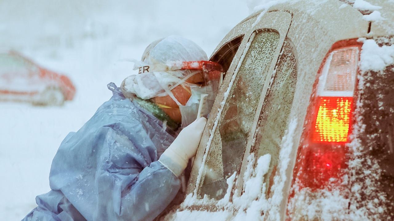 Hisopados nieve
