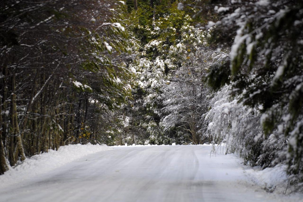 Parque nacional nieve