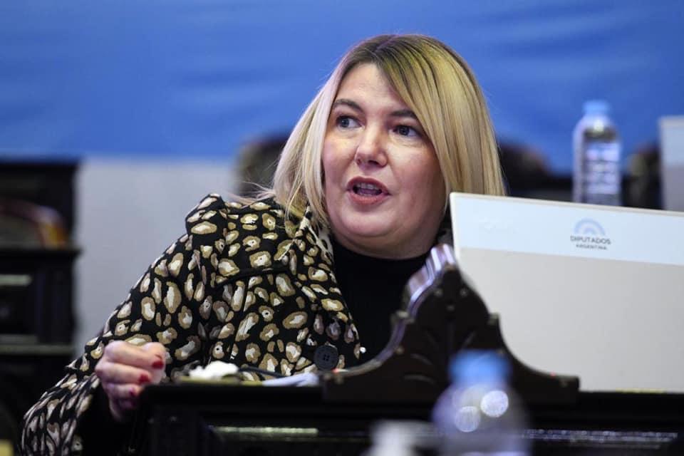 Rosana Bertone diputada