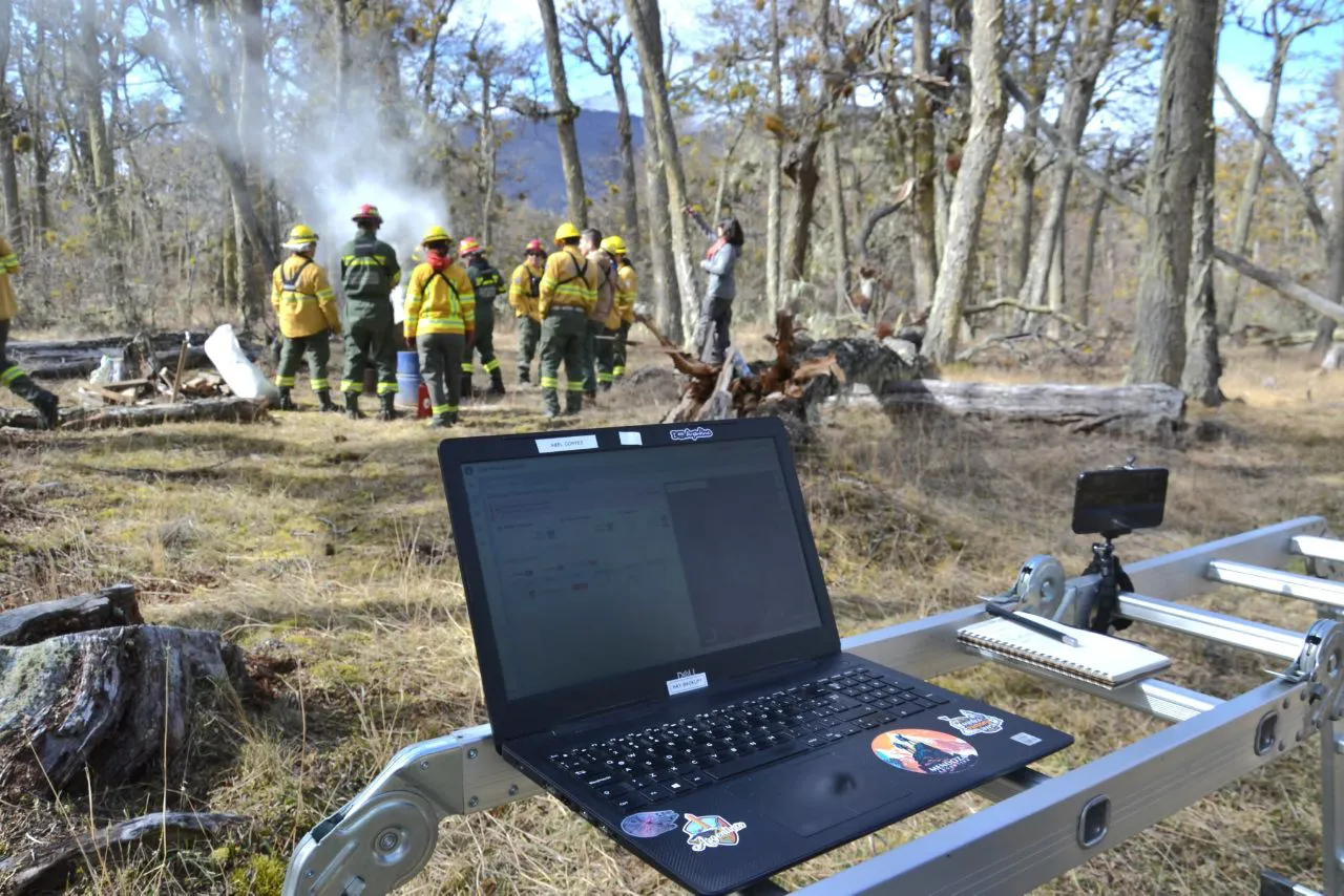 IMG_20241007_091950_649