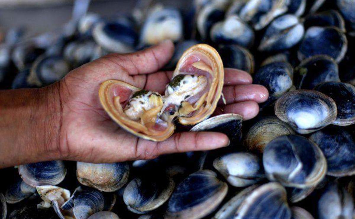 mariscos_oaxaca