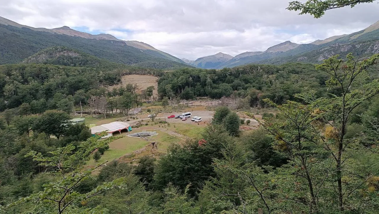 IMG_20250215_200455_917