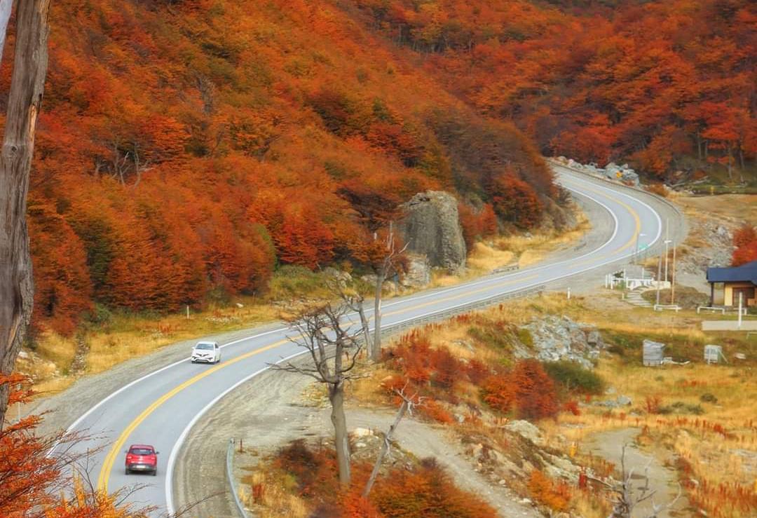 Ruta Nacional 3 otoño