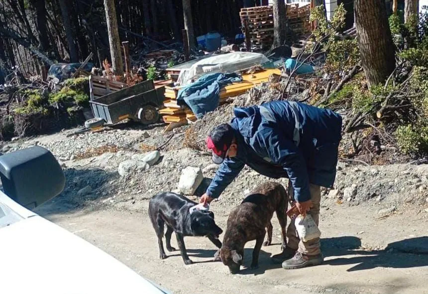 IMG_20251211_105437_355