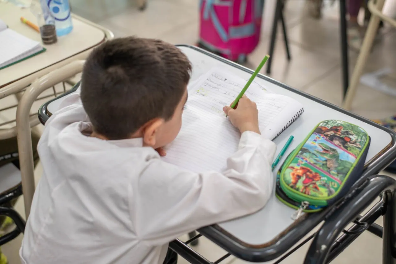 Niño alumno primaria