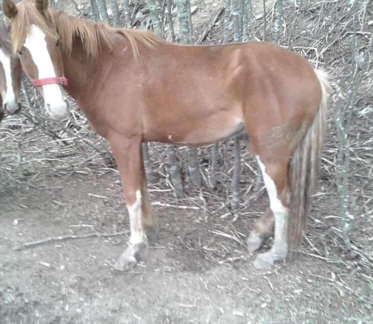 FB_IMG_1573959678309