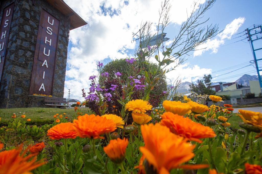 Jardinería ush