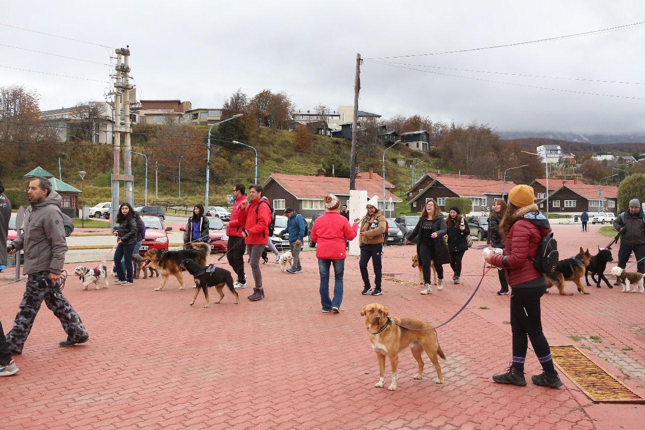 Caninata