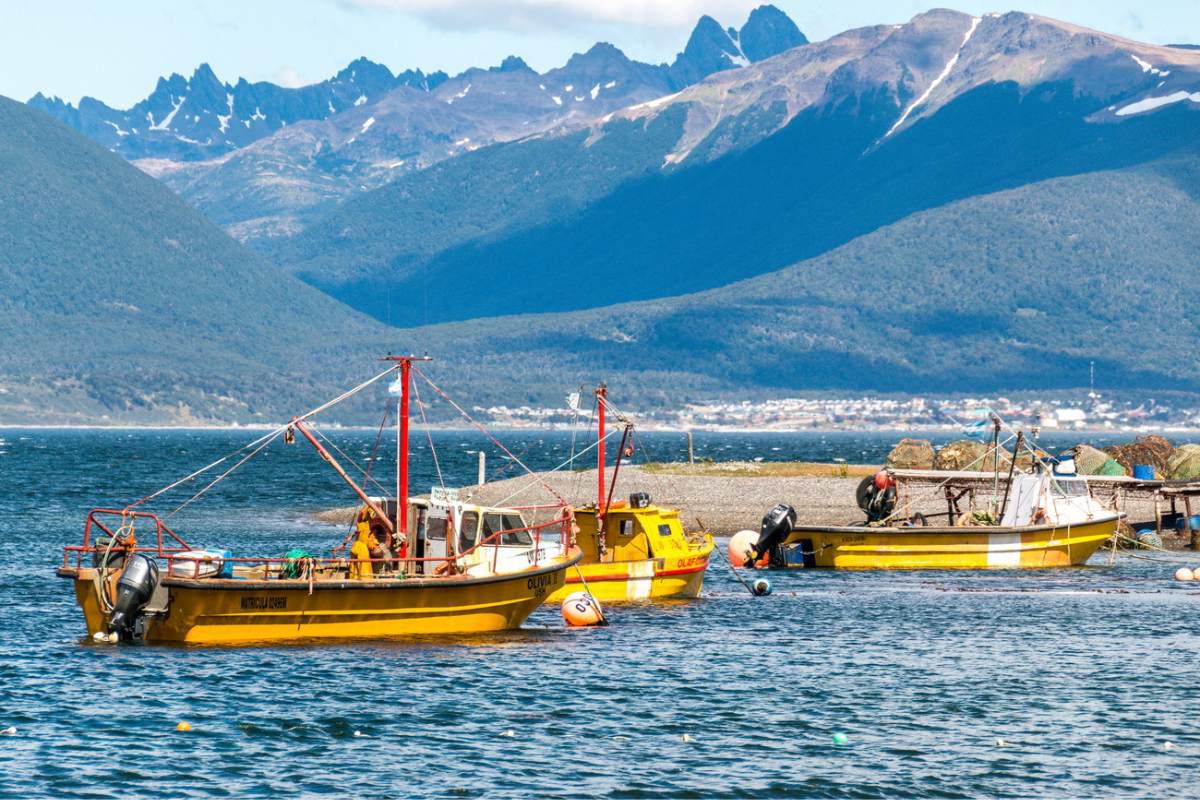 Puerto Almanza pesca artesanal