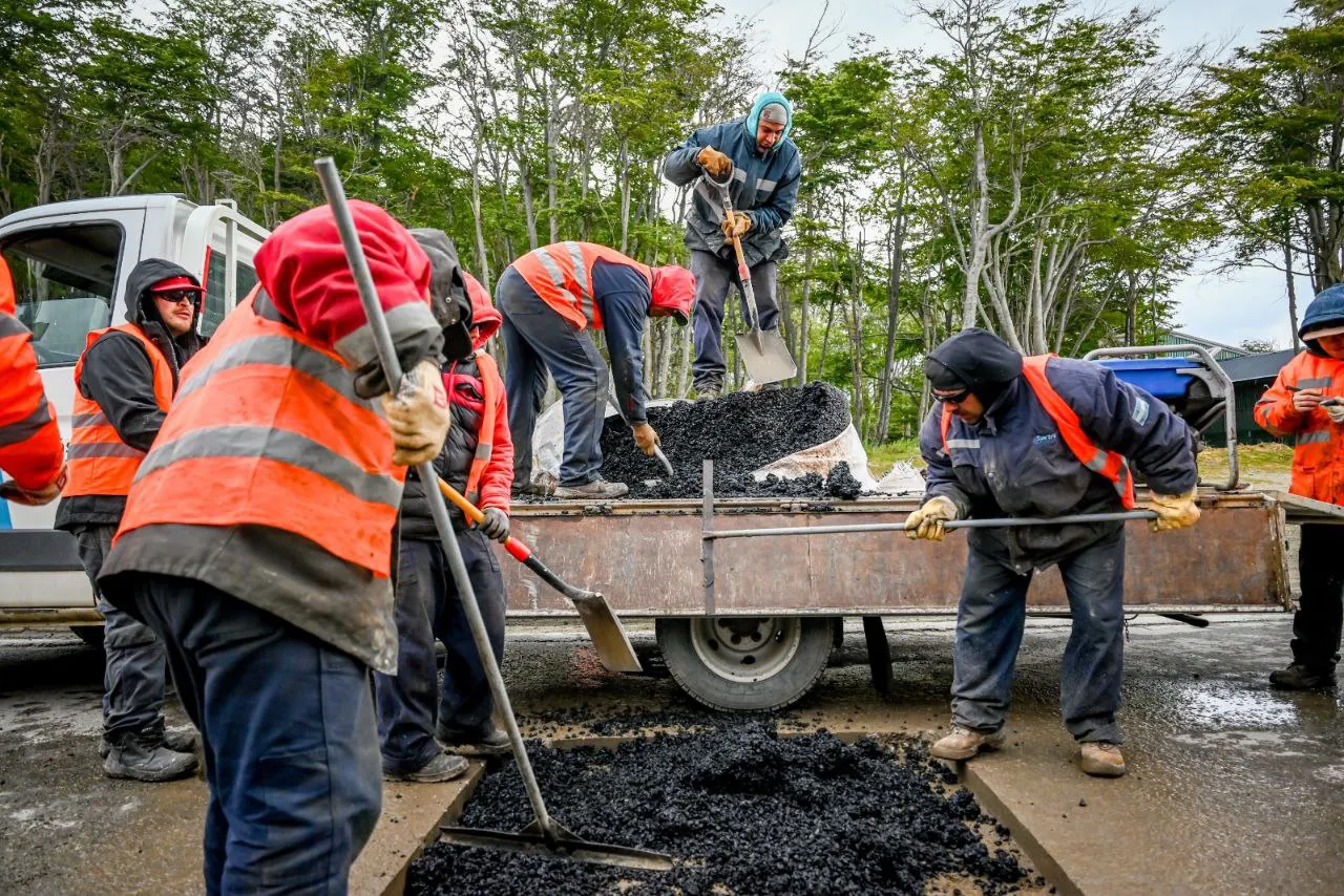 IMG_20241209_083946_801