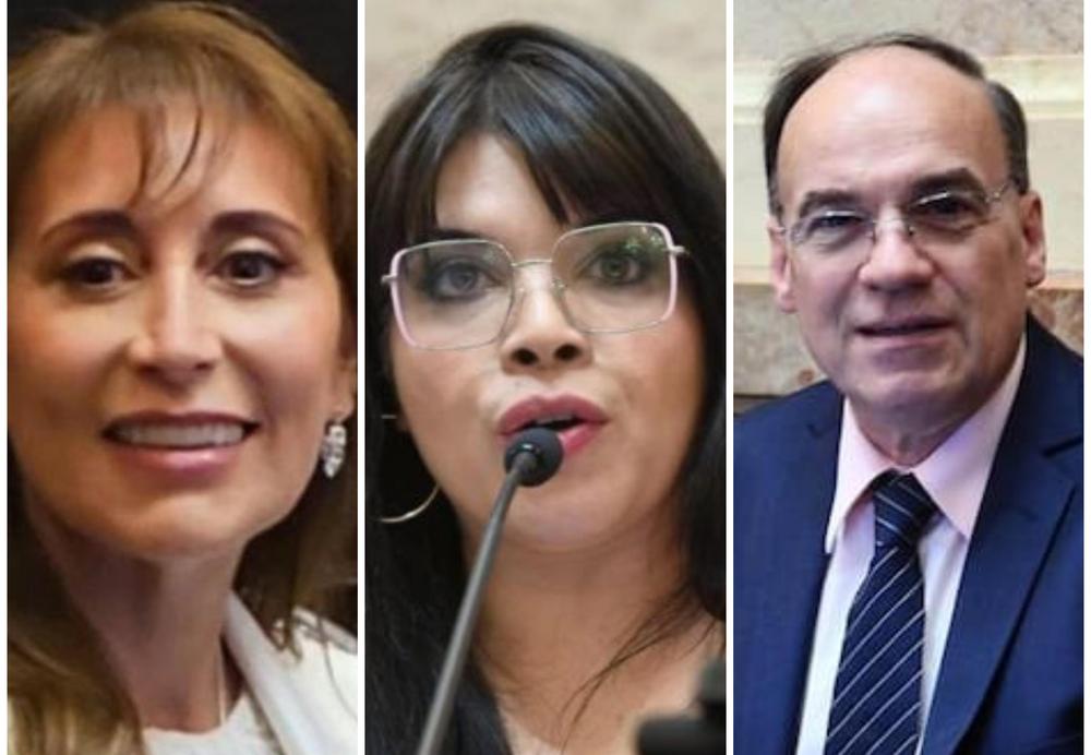 Senadores Lopez, Duré y Blanco