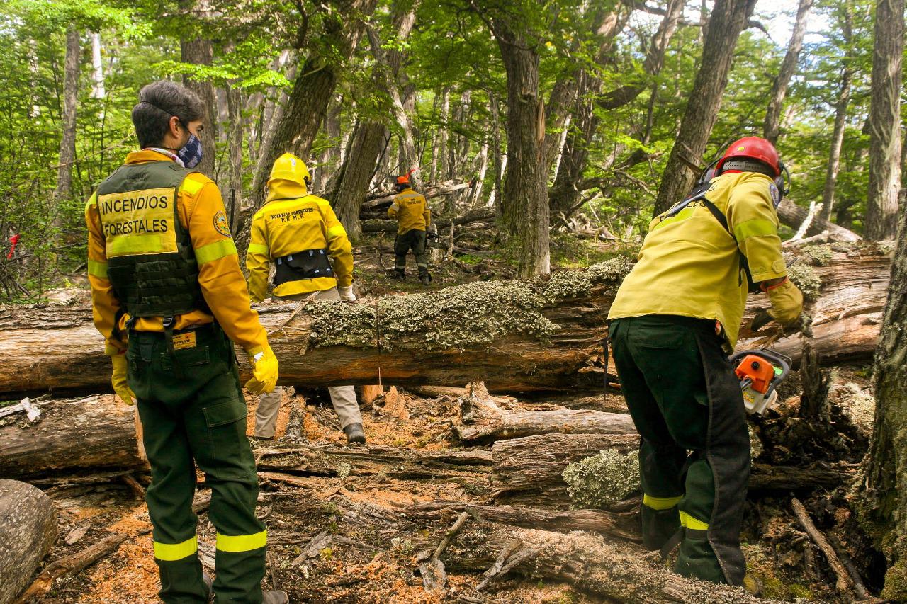 Forestal