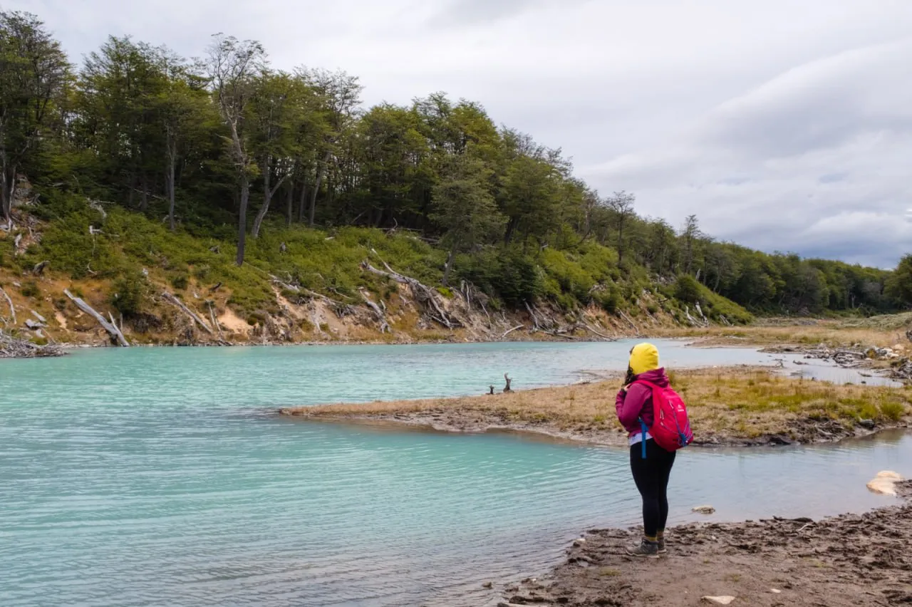 IMG_20241108_174202_886