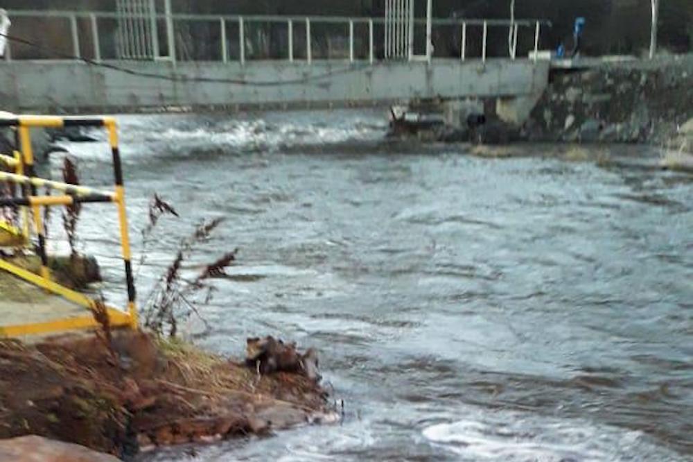 810b009c7eecaf18b33d9cb27f5caf68-1000arroyo_grande_castorera