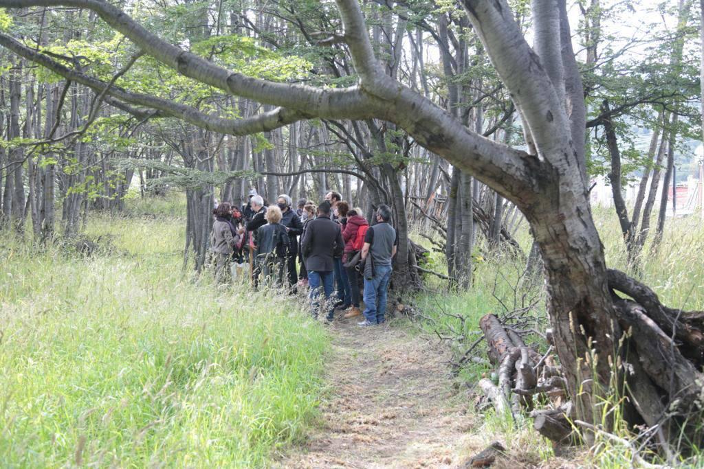 Bosque Yatana Ushuaia