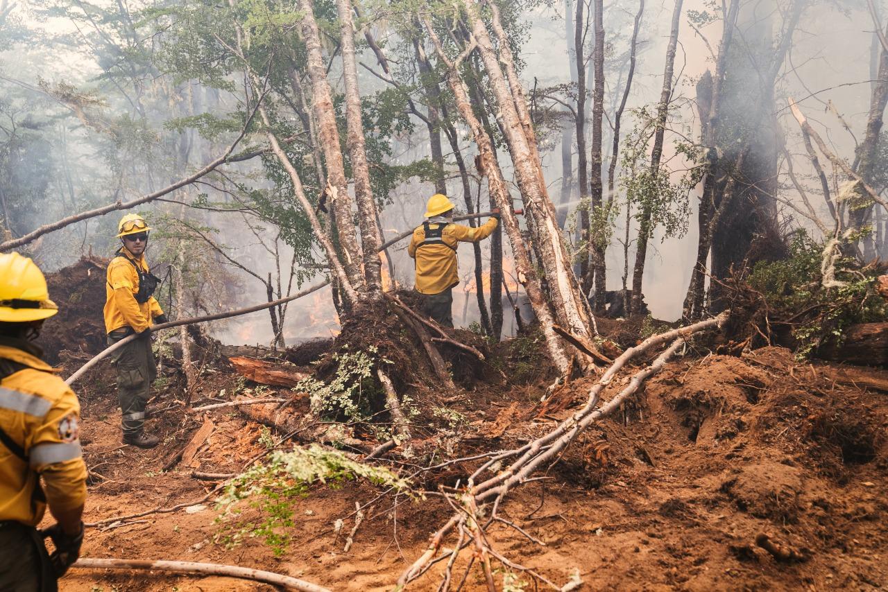 Brigadistas incendio forestal en Tierra del Fuego