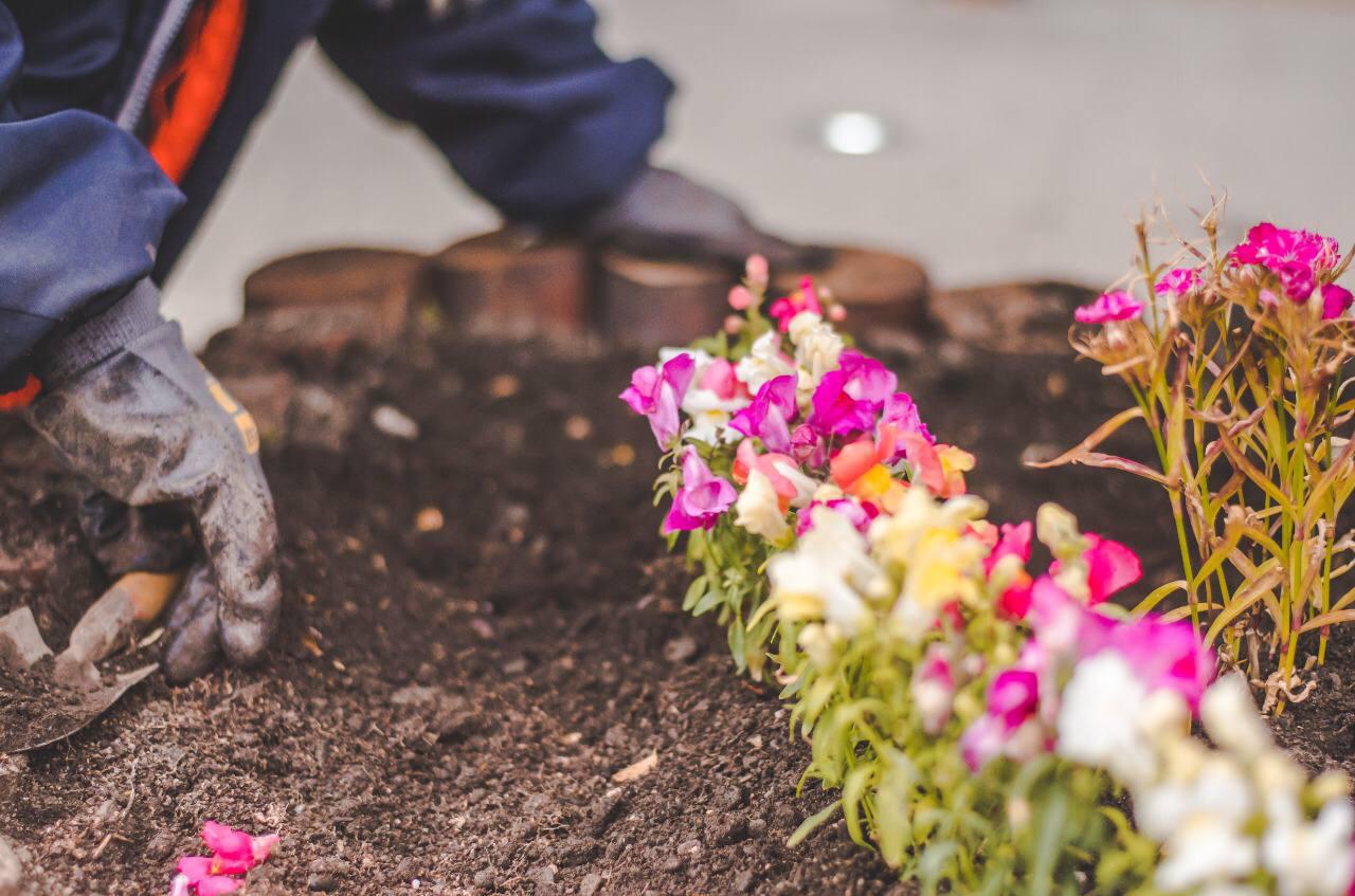 Jardinería