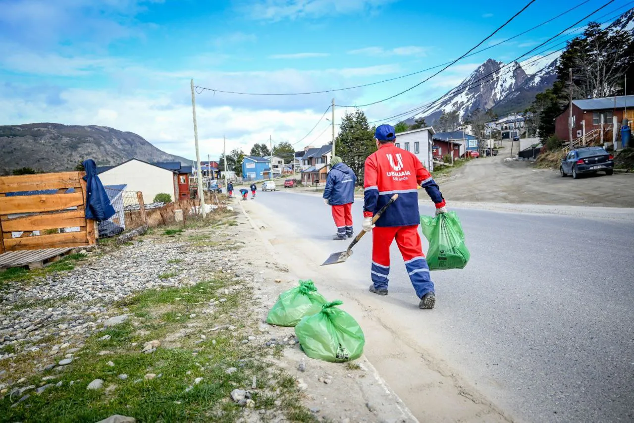 IMG_20241018_094203_509