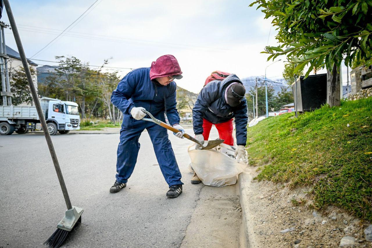 Limpieza de cordones 