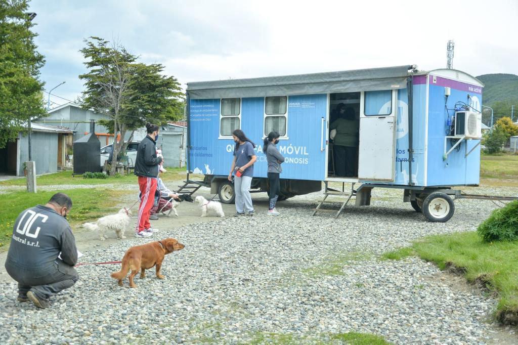 Zoonosis quincho Los Formoseños