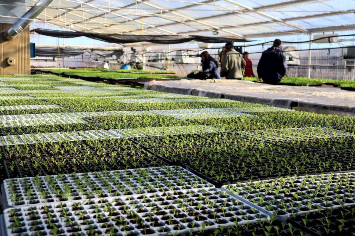 IMG_20230919_103601_326