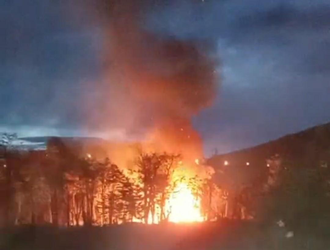Incendio bosque