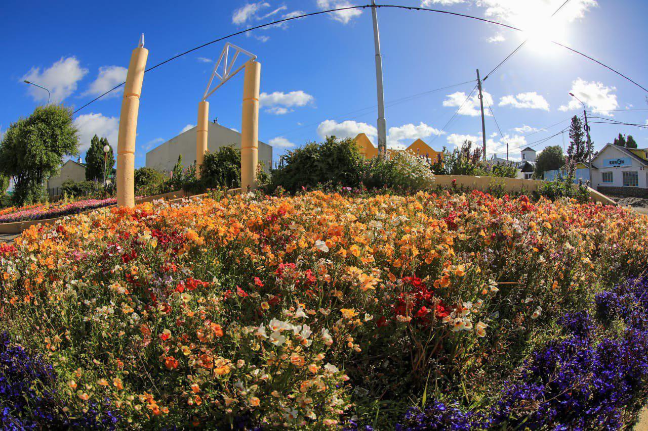 Plantas Río Grande
