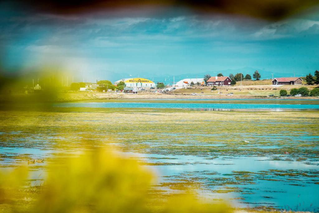 Bahía Encerrada de Ushuaia con algas