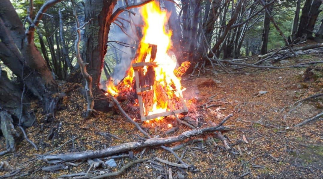 Incendio bosque