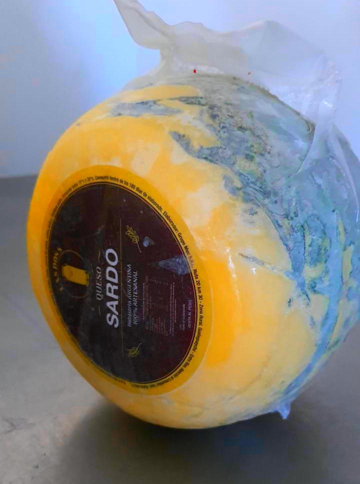 IMG-20220819-WA0128