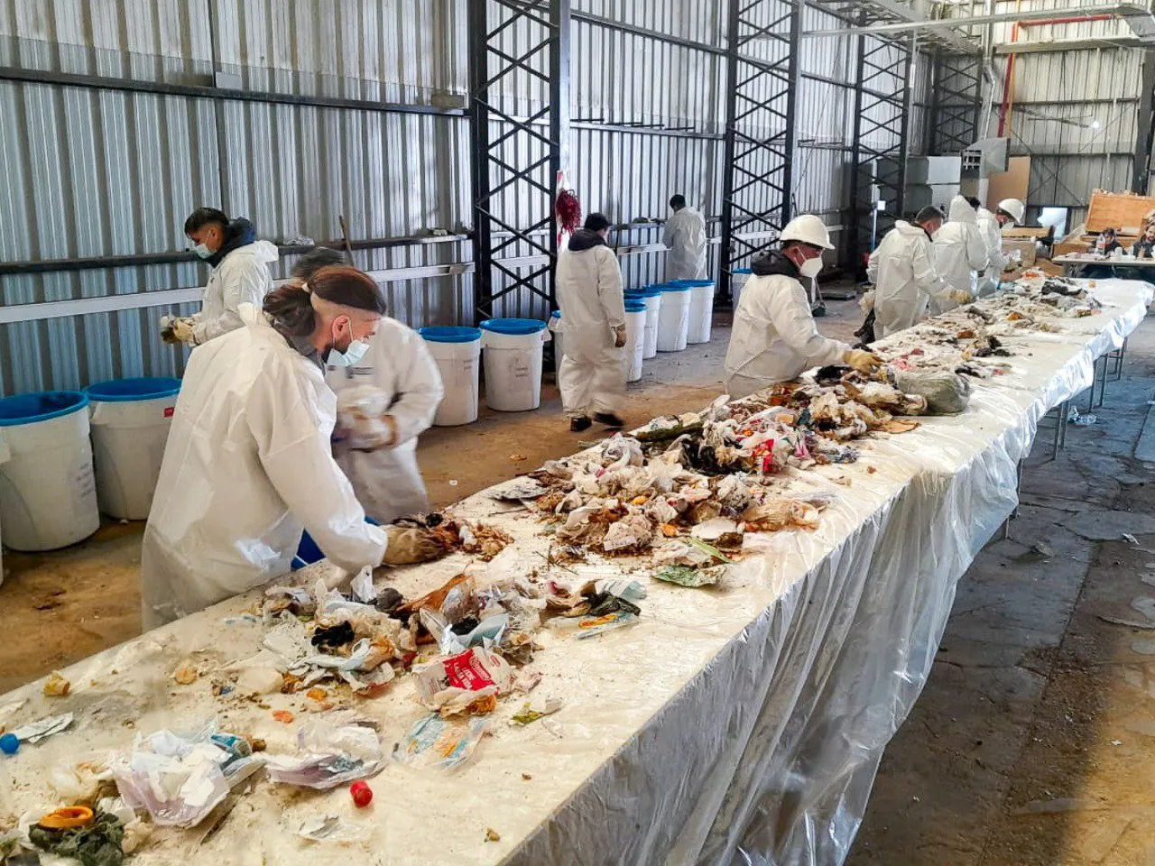 IMG_20241227_110229_777