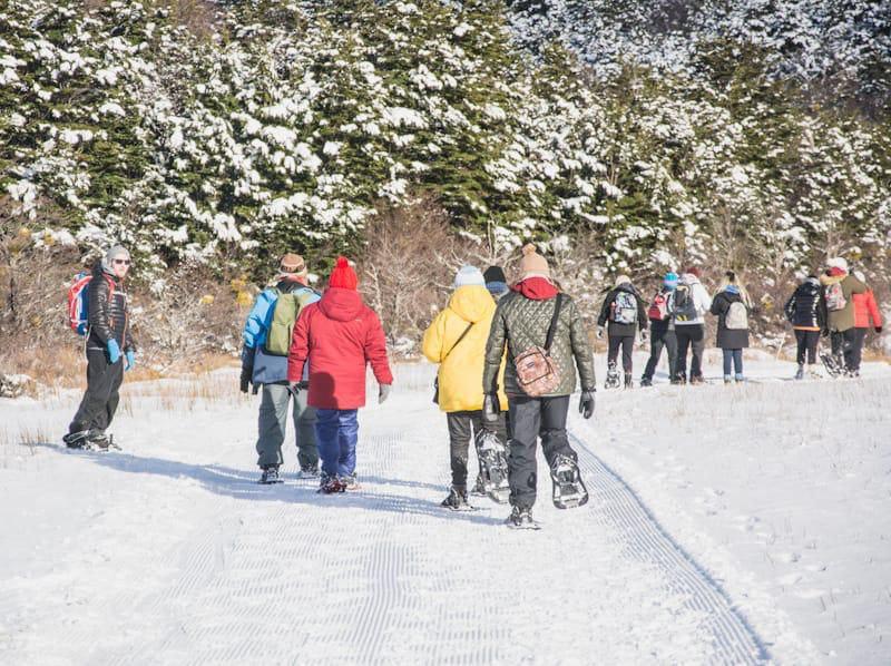 Caminata con raquetas nieve