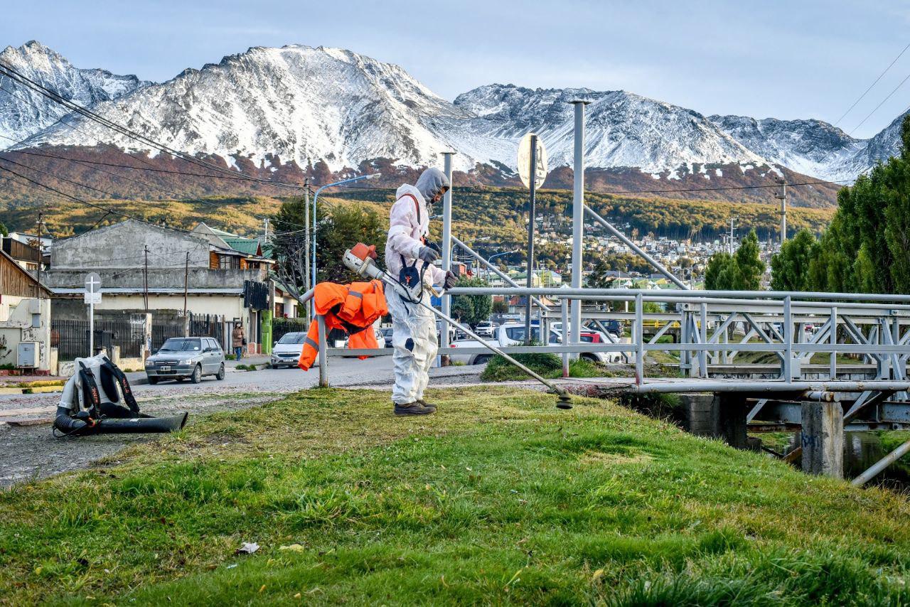Corta pasto muni Ushuaia 