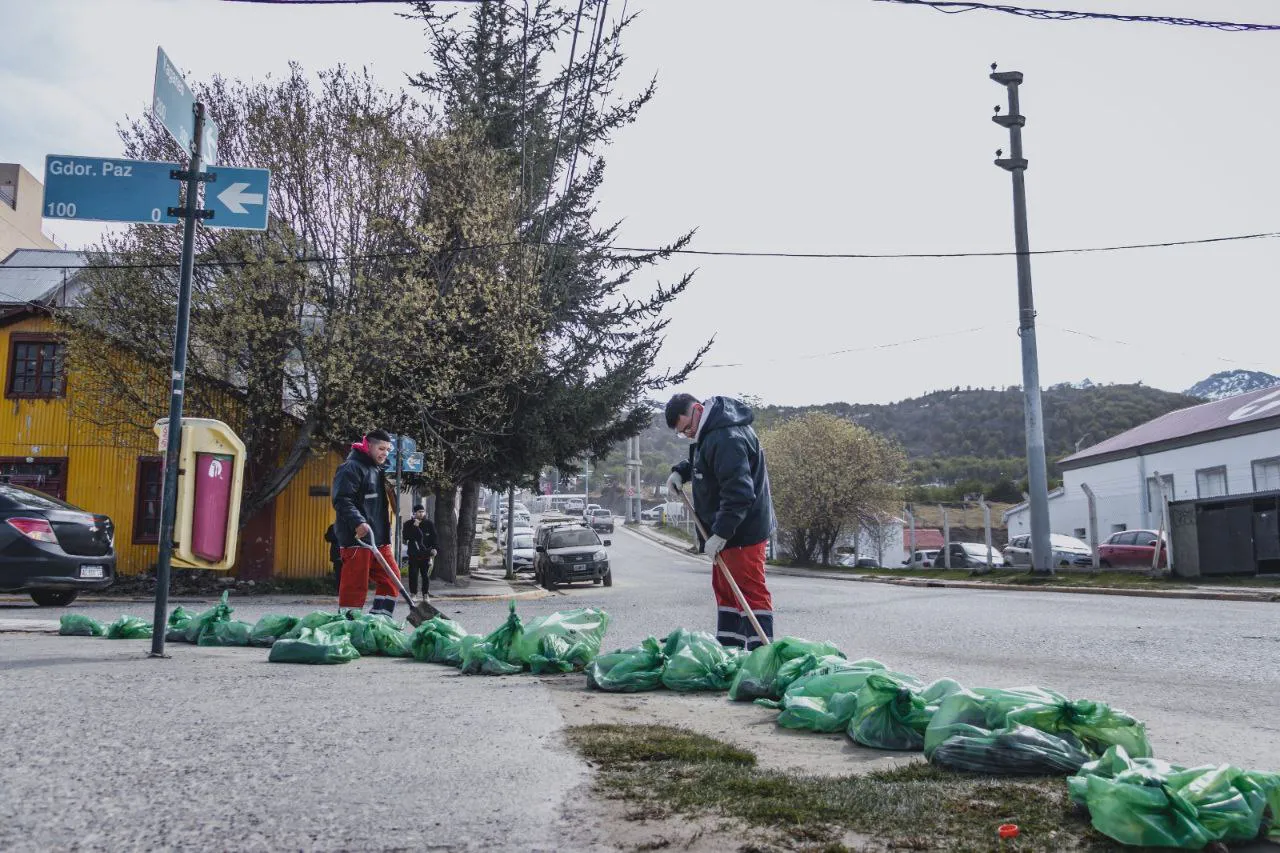 IMG_20241016_053823_555