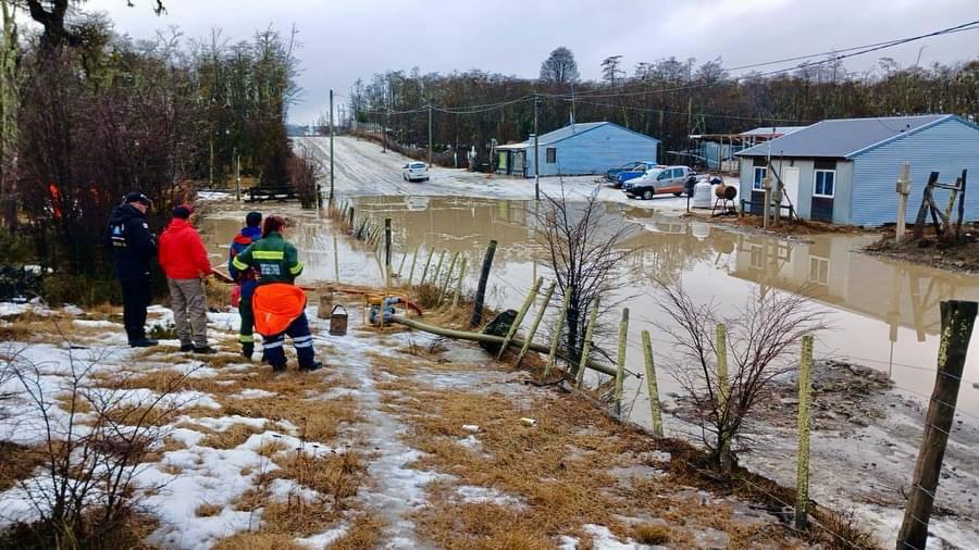 IMG_20240820_084520_232