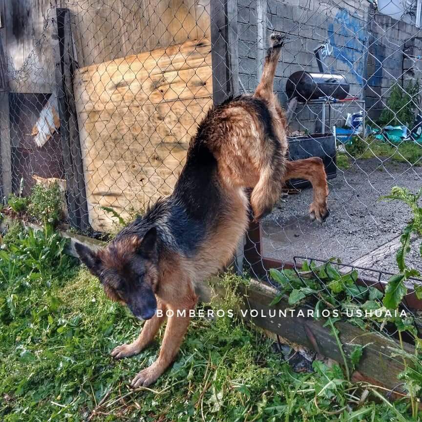 FB_IMG_1577059987212