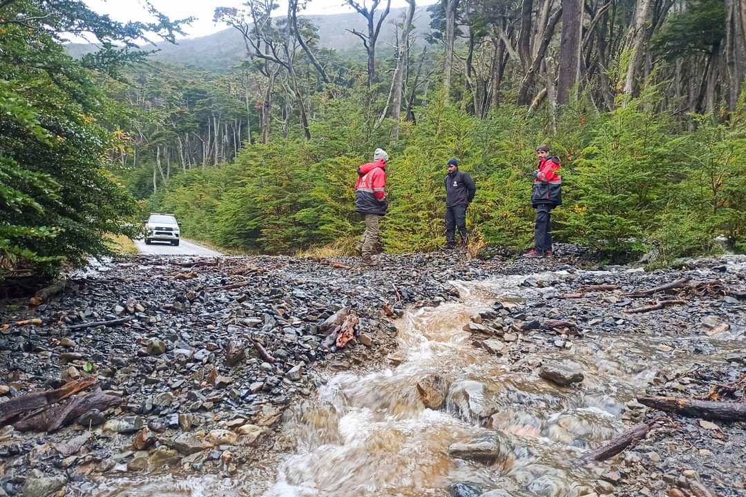 FB_IMG_1715887339344