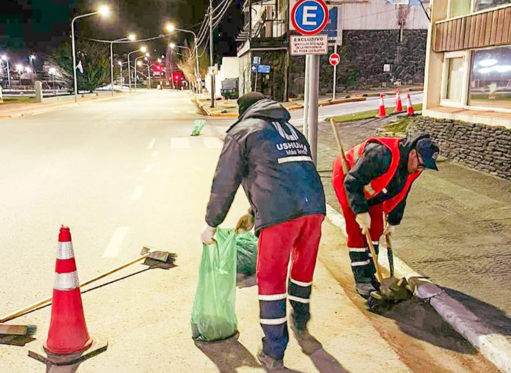 IMG_20241014_221558_279