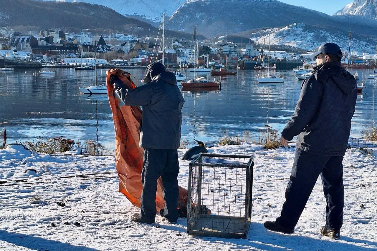 IMG_20250527_065720_350