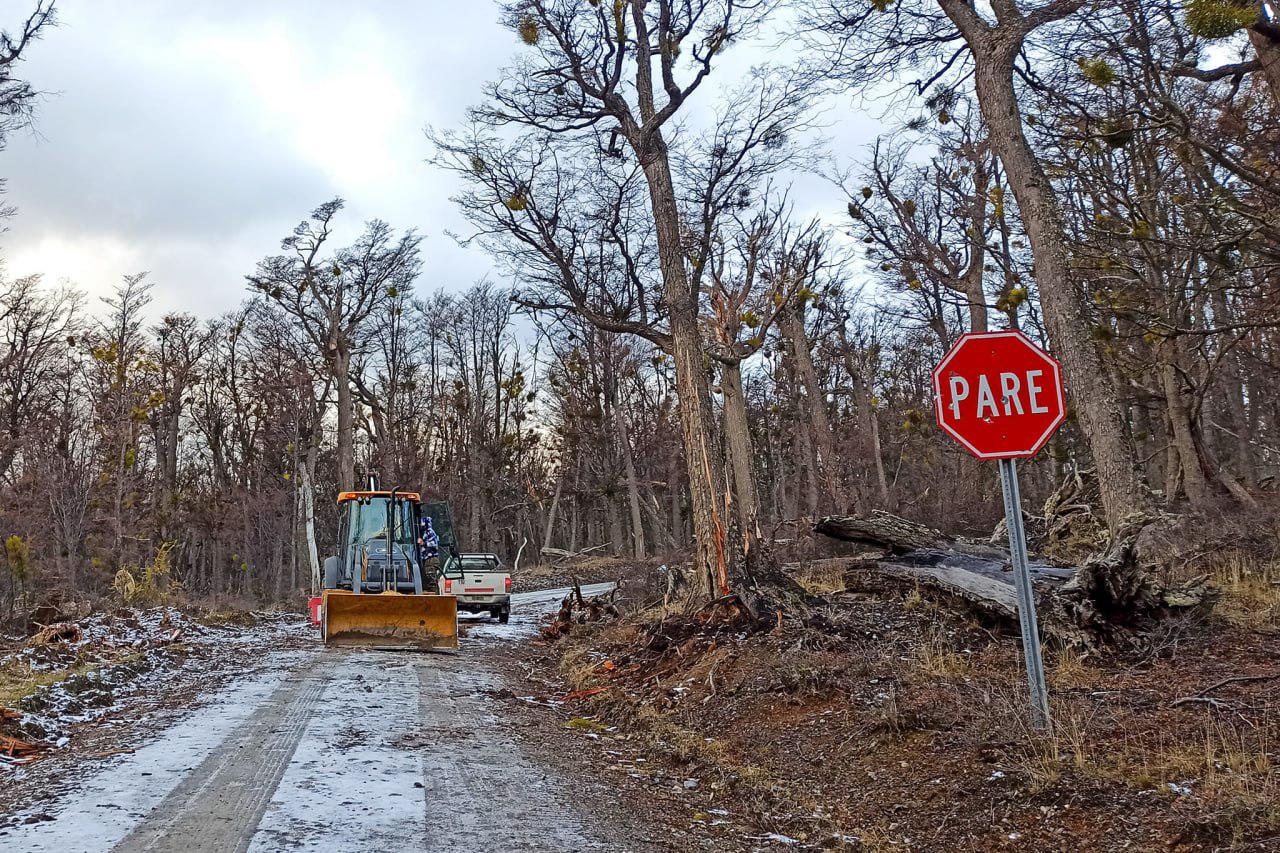 IMG_20240604_115427_942