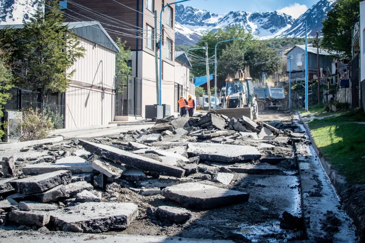 IMG_20241017_075827_364