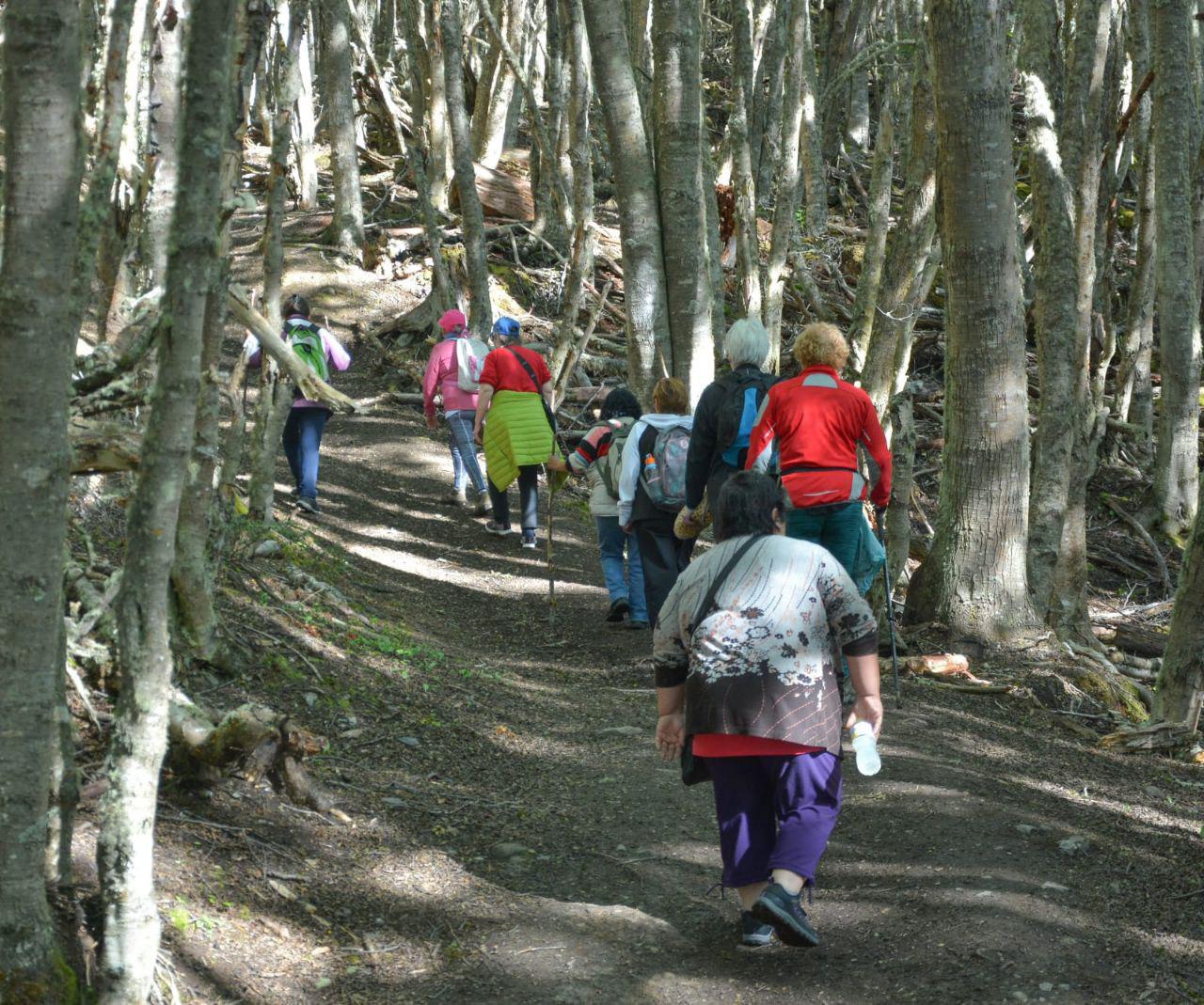 Adultos Mayores caminata bosque