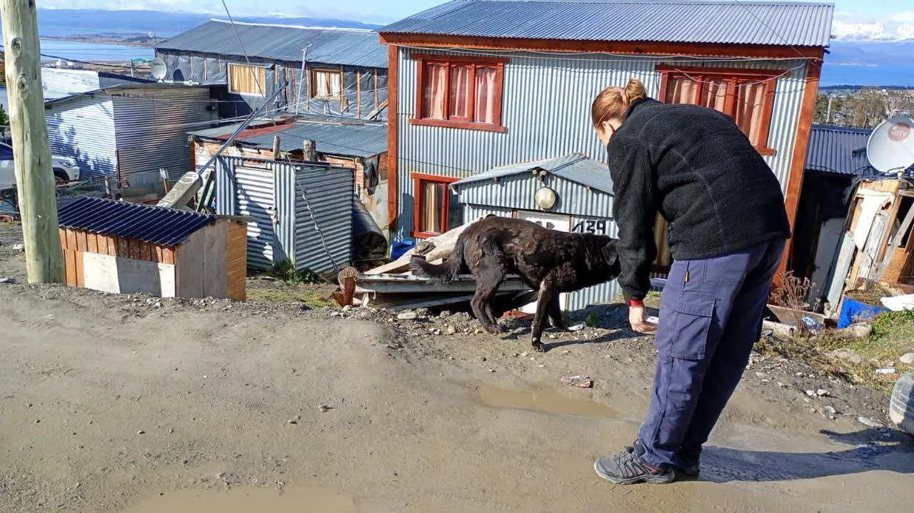 IMG_20251007_103929_107