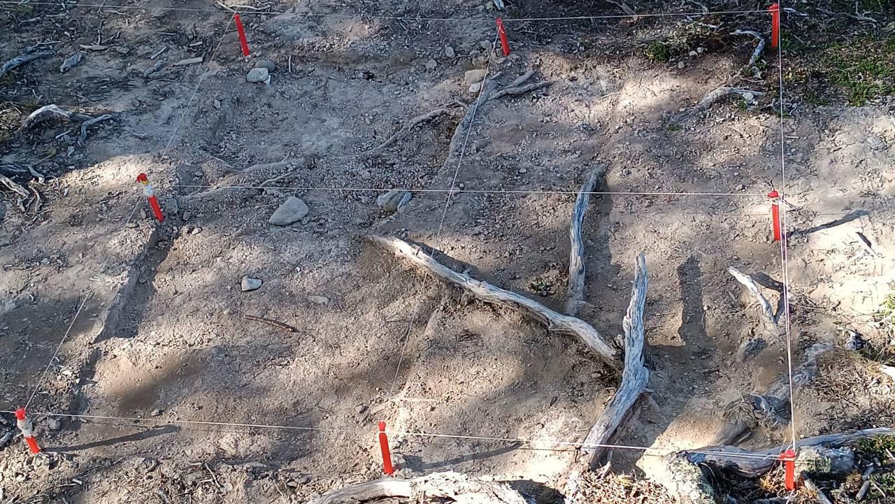 IMG_20240219_001645_865